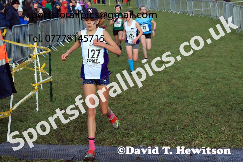 Girls Under-13s 2024 Northern Cross Country Champs., Sedgefield. Photo: David T. Hewitson/Sports for All Pics